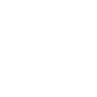 Electronic Control System Icon